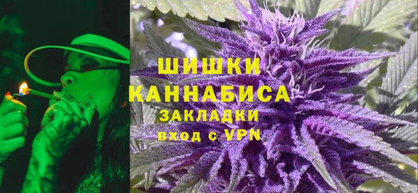 трава Аркадак