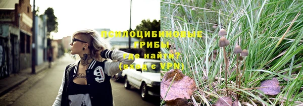трава Аркадак