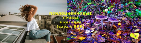 герыч Алексин