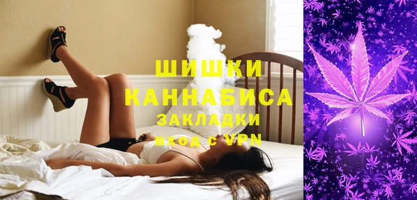 трава Аркадак