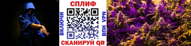 MEGA рабочий сайт Качканар Шишки марихуана Amnesia